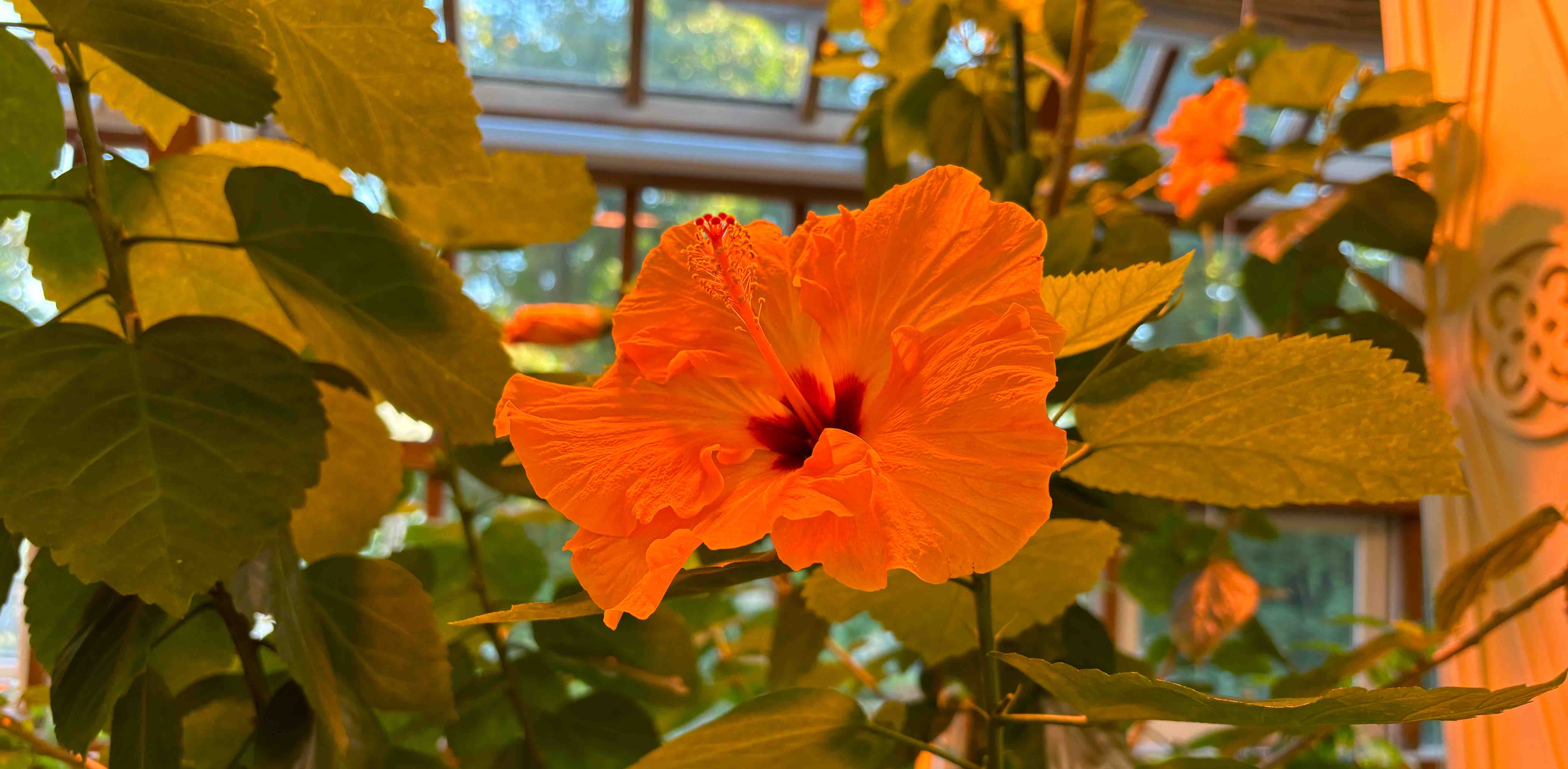 challenge background