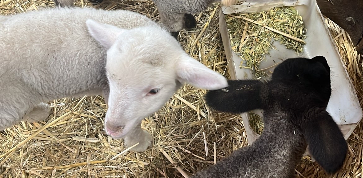 challenge background