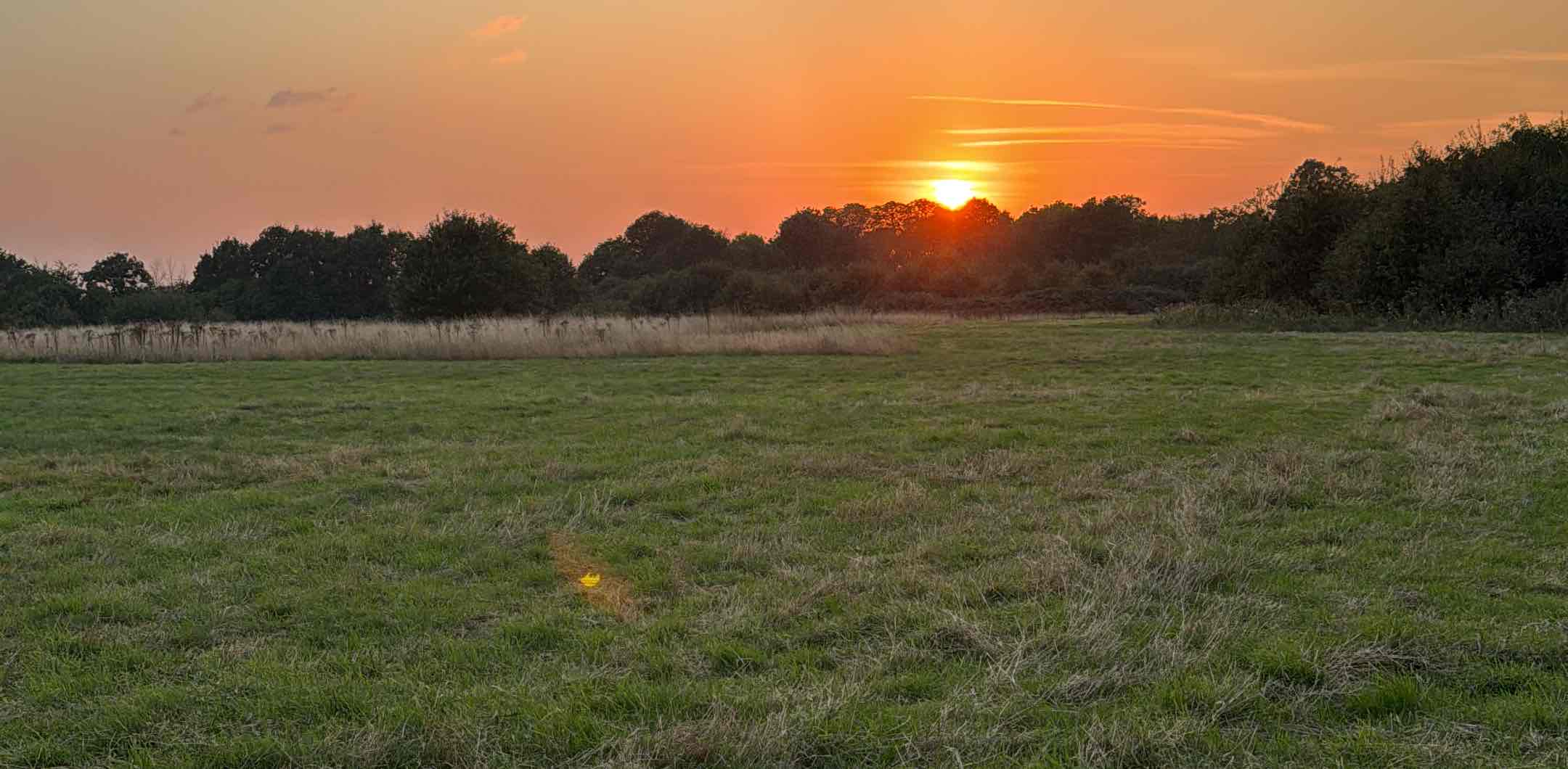 challenge background