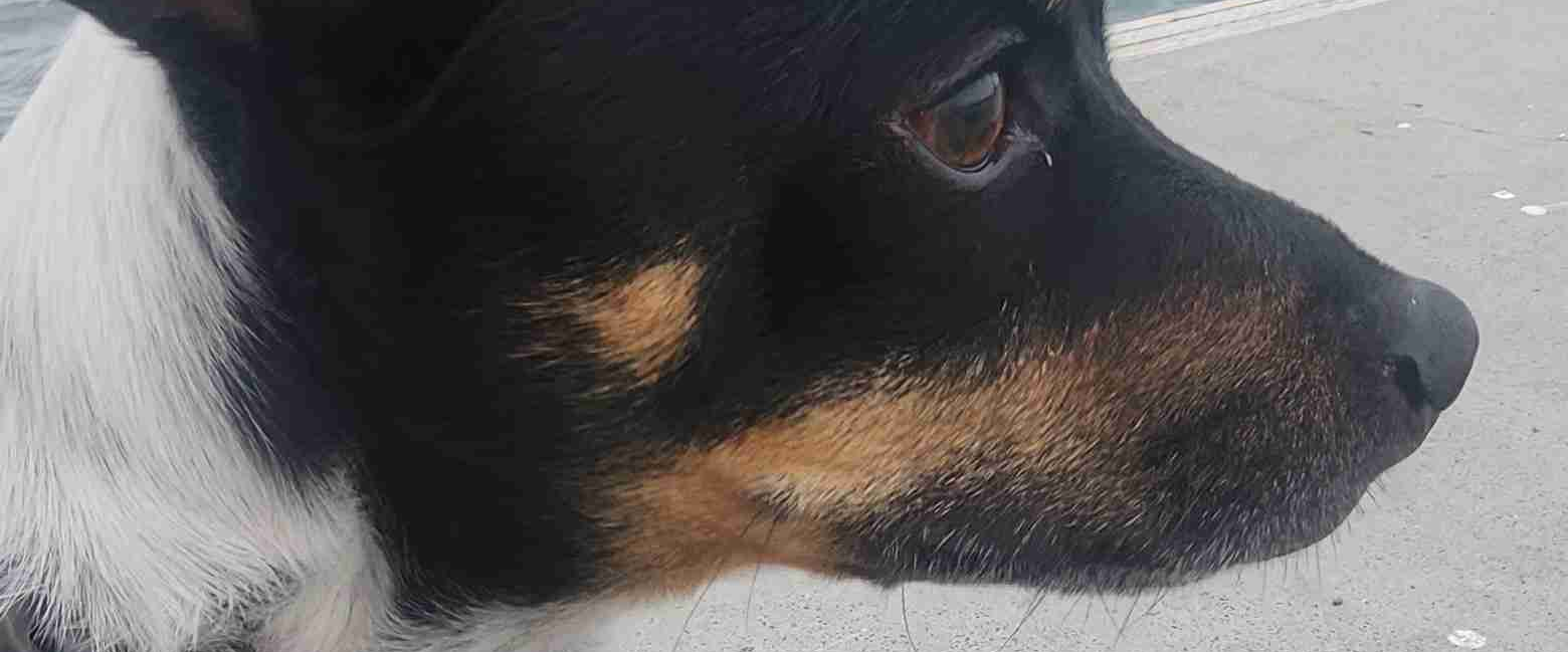 challenge background