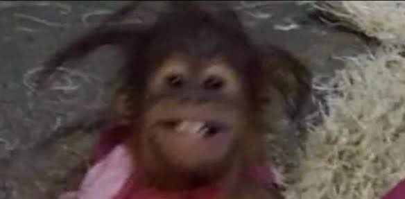 challenge background