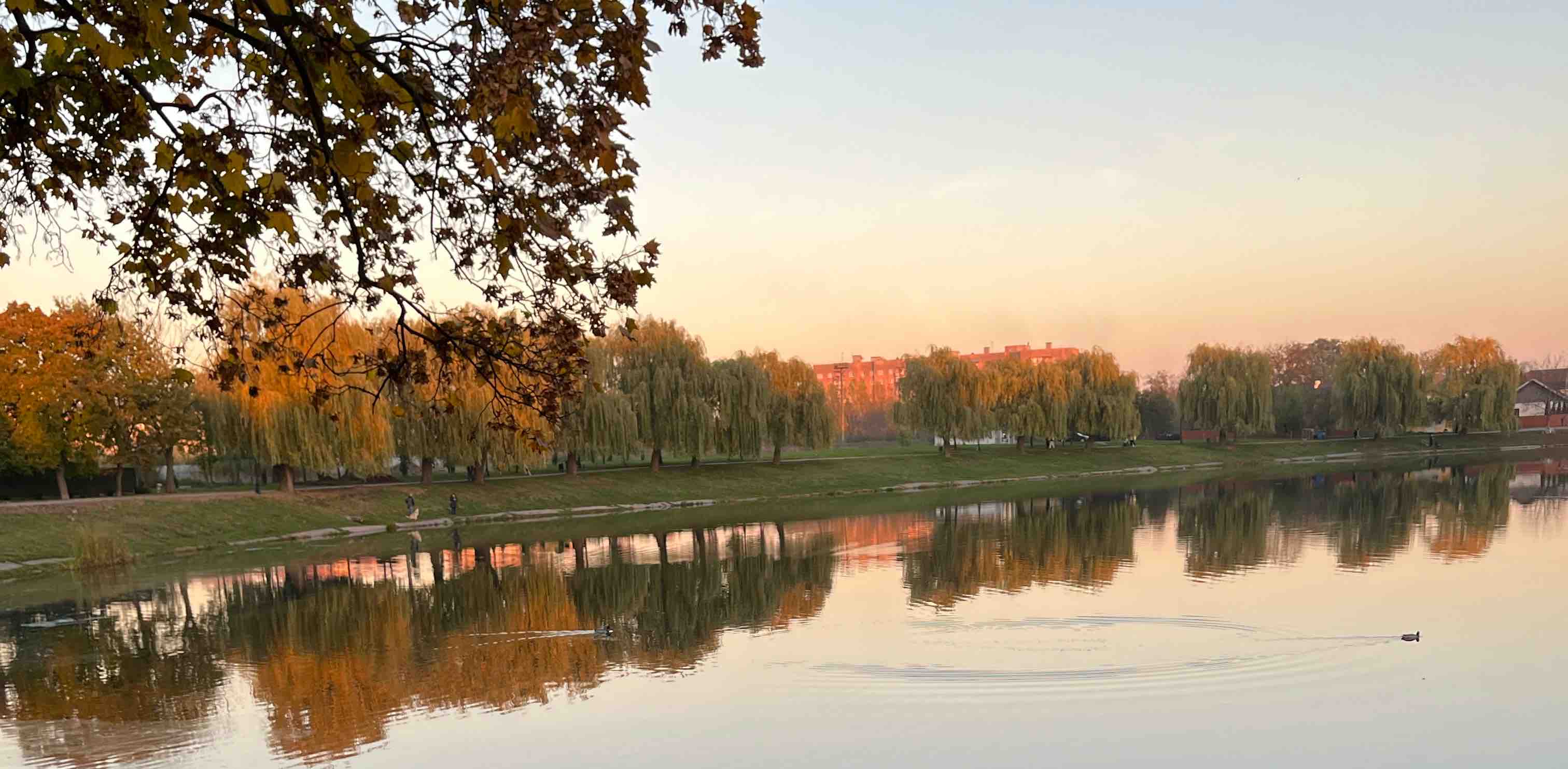 challenge background