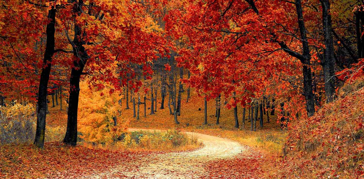 challenge background