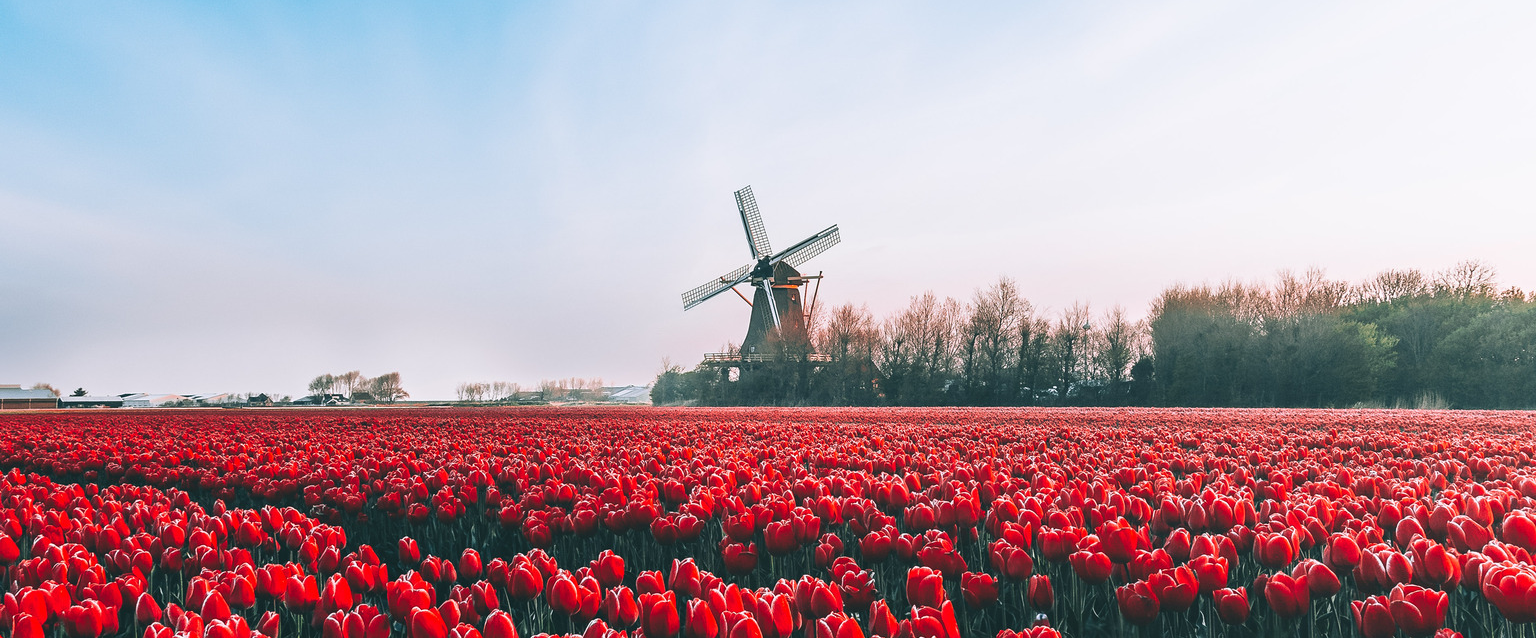 challenge background