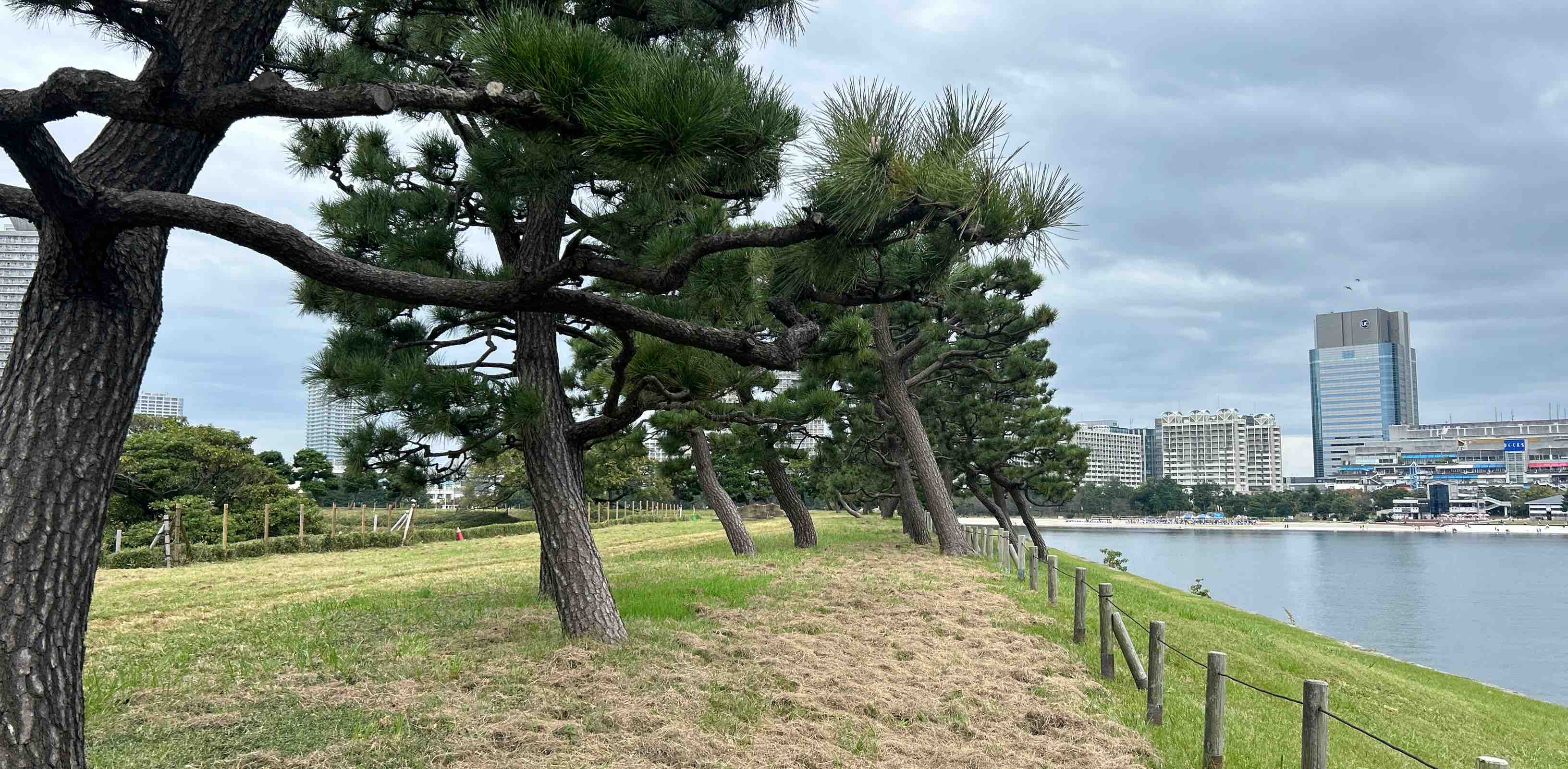 challenge background