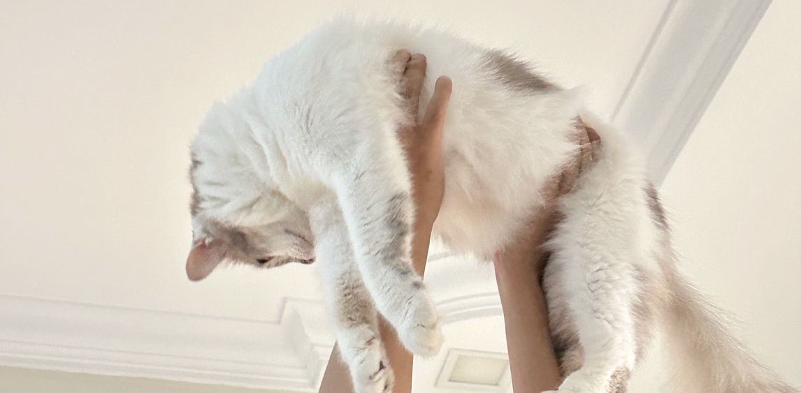 challenge background