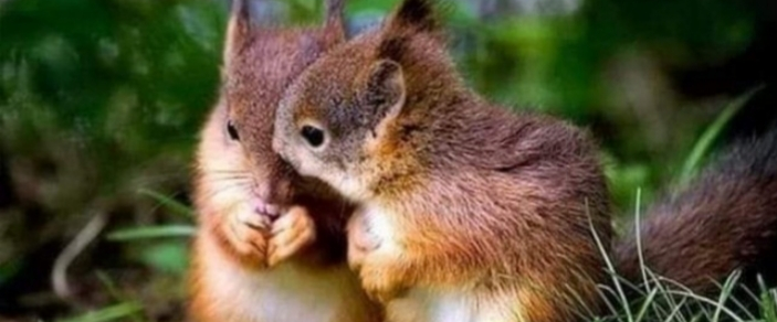 challenge background