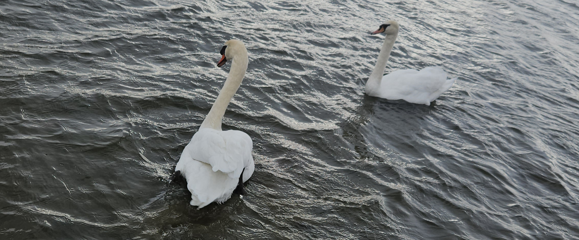 challenge background