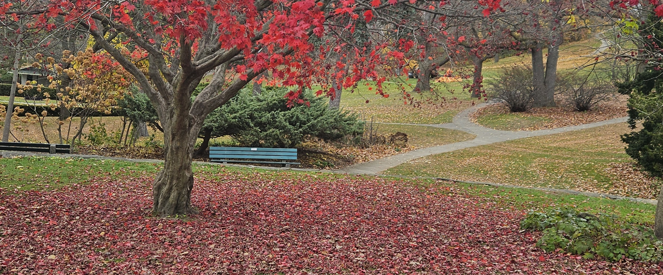 challenge background