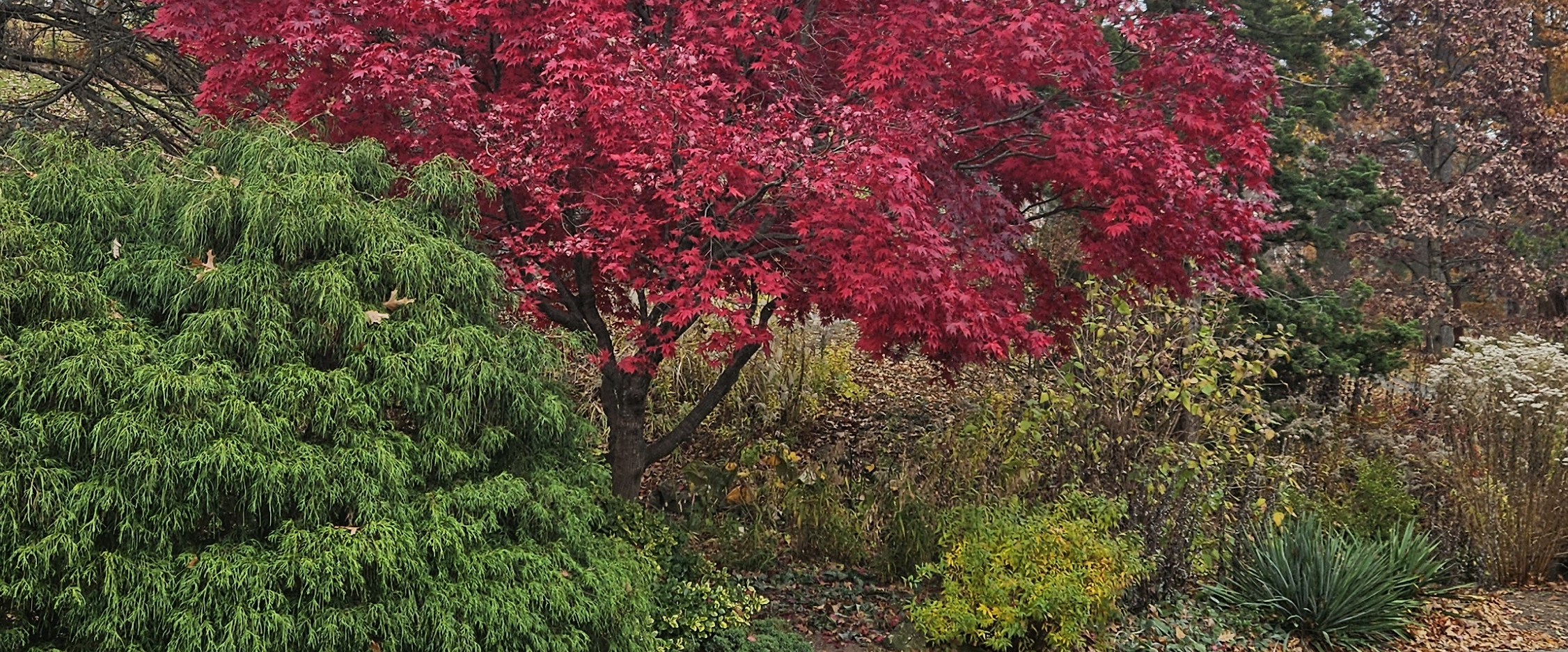 challenge background