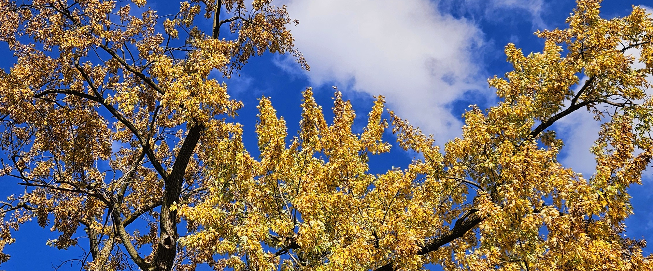 challenge background