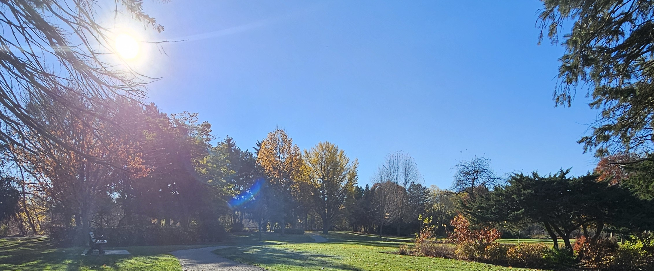 challenge background