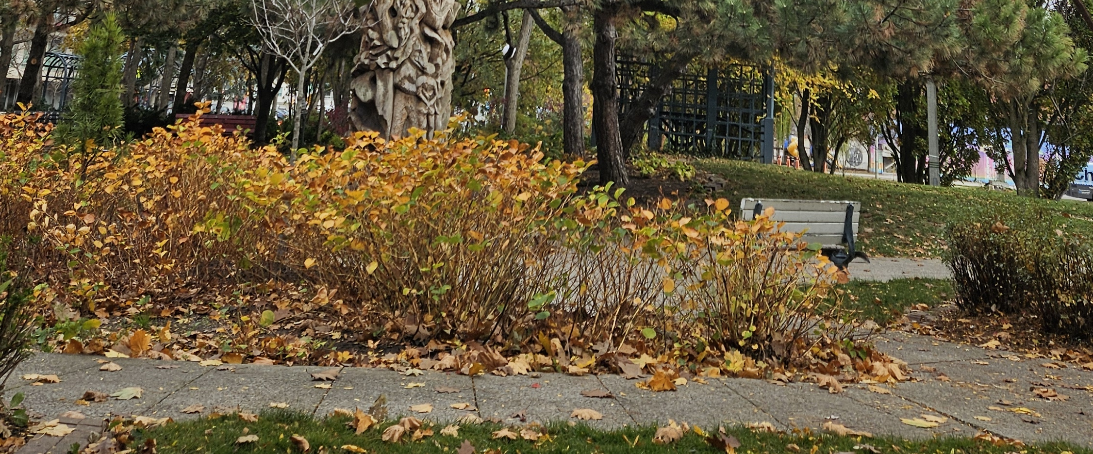 challenge background