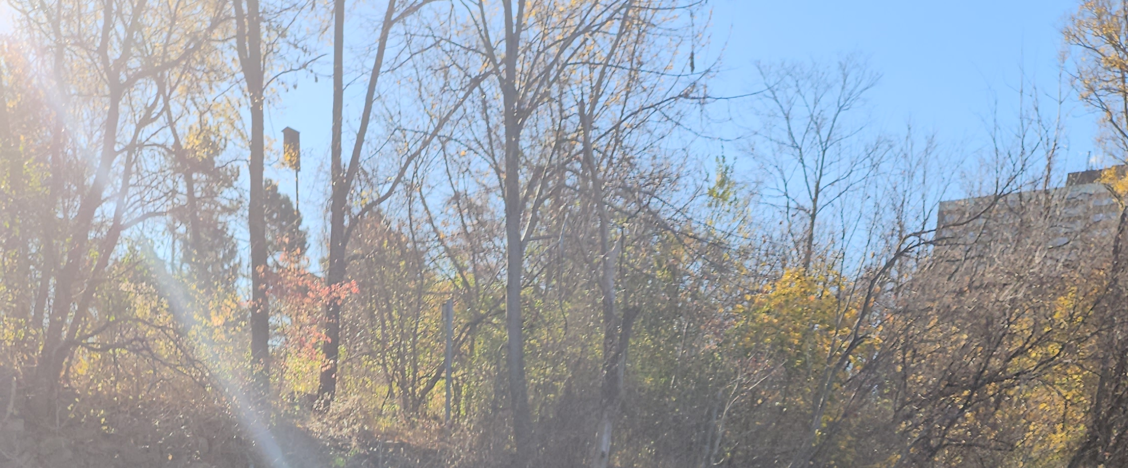 challenge background