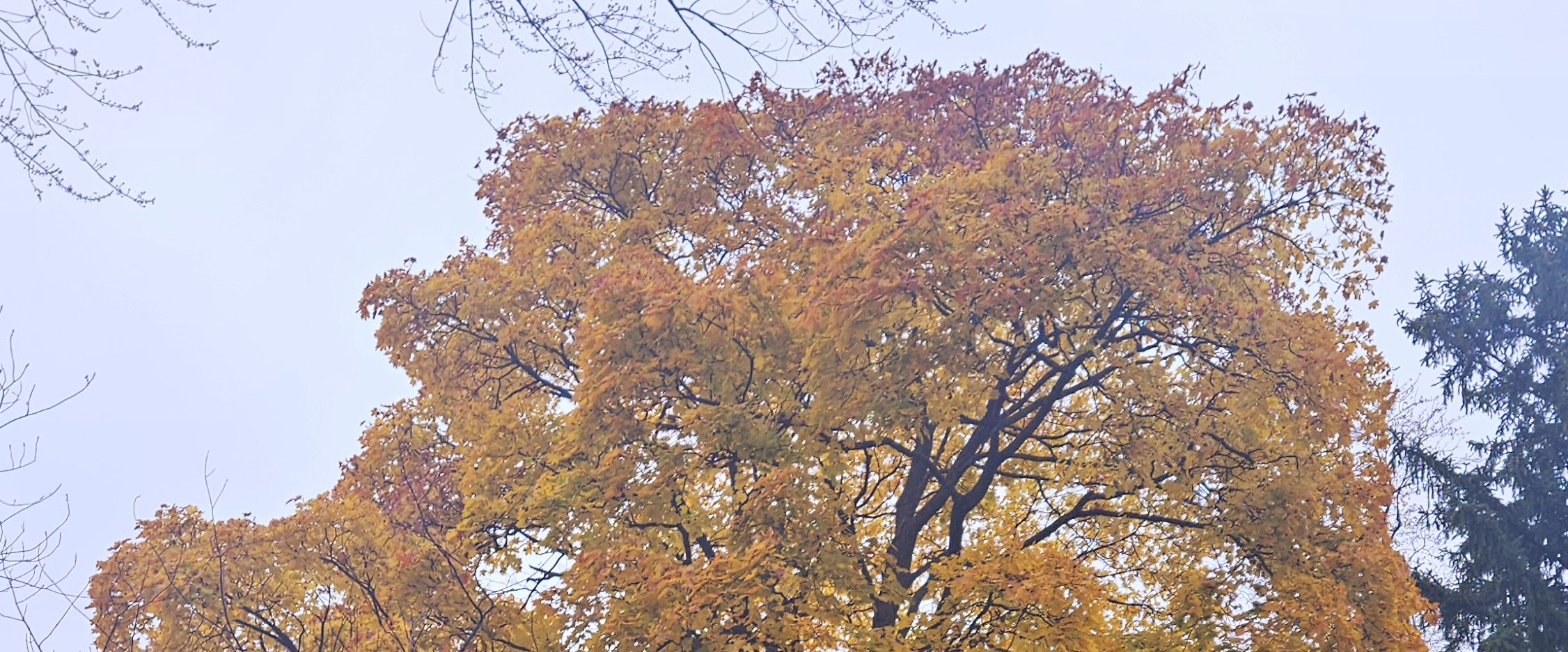 challenge background