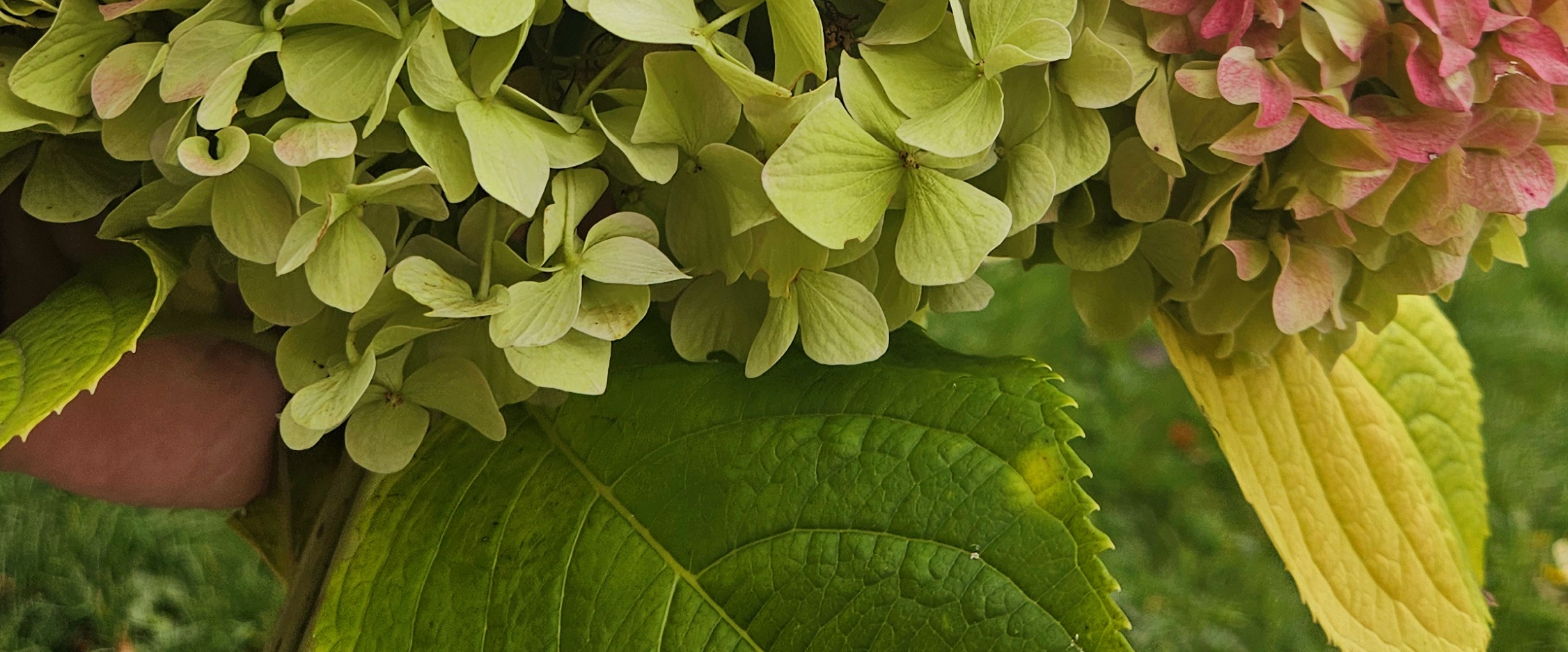 challenge background