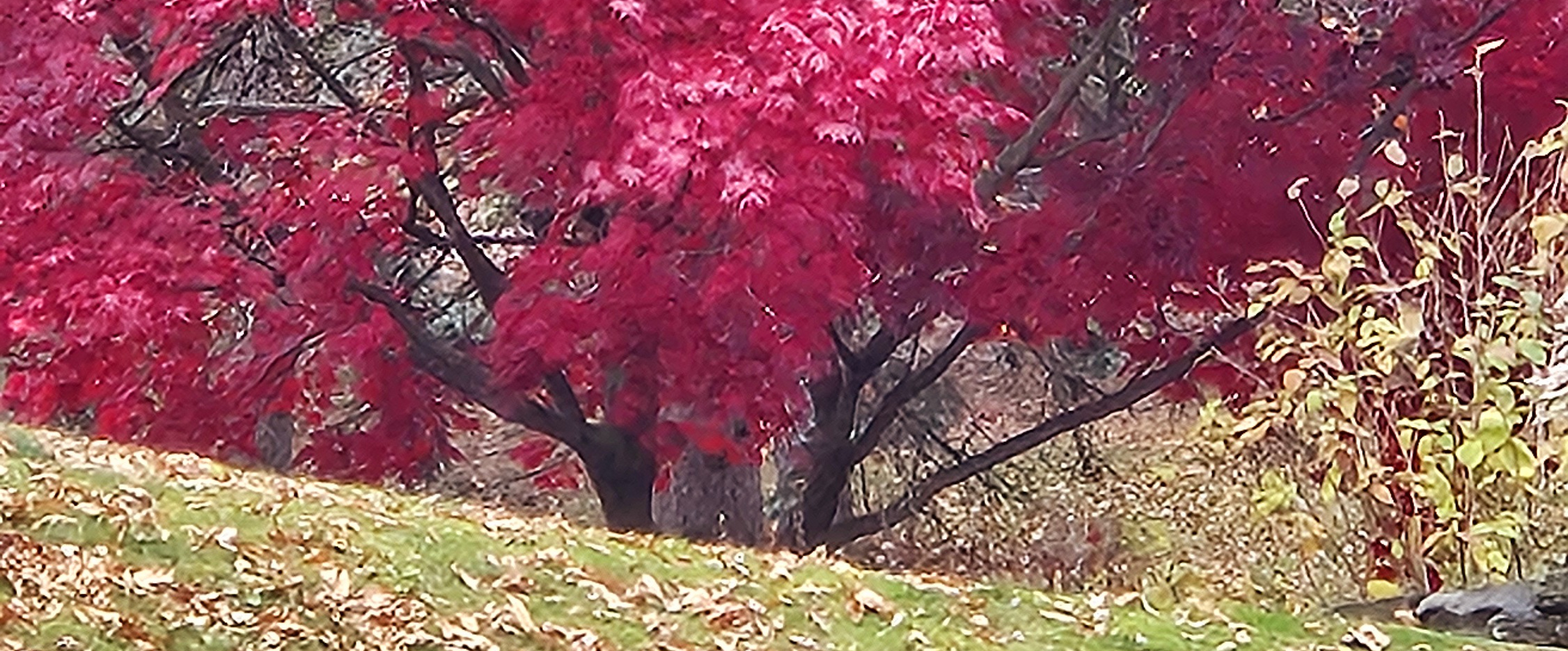 challenge background