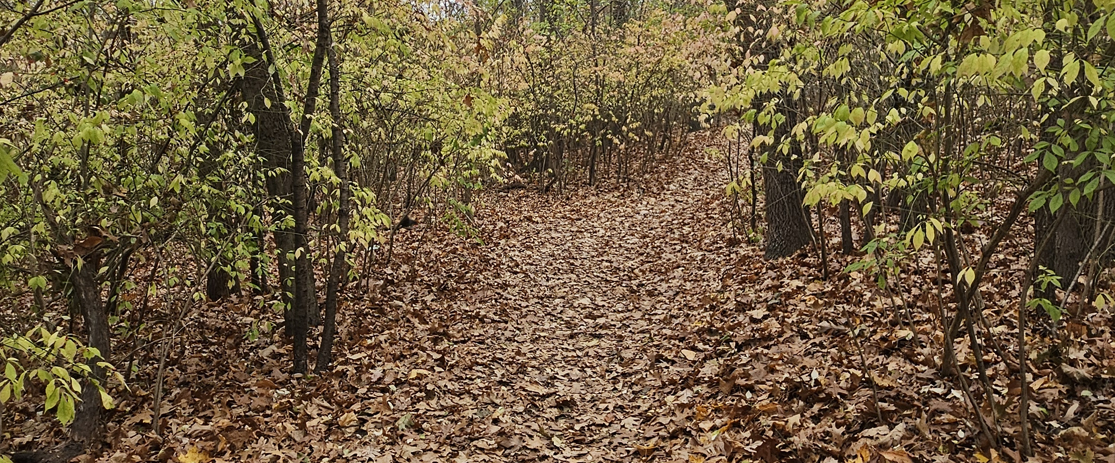 challenge background