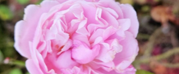 challenge background