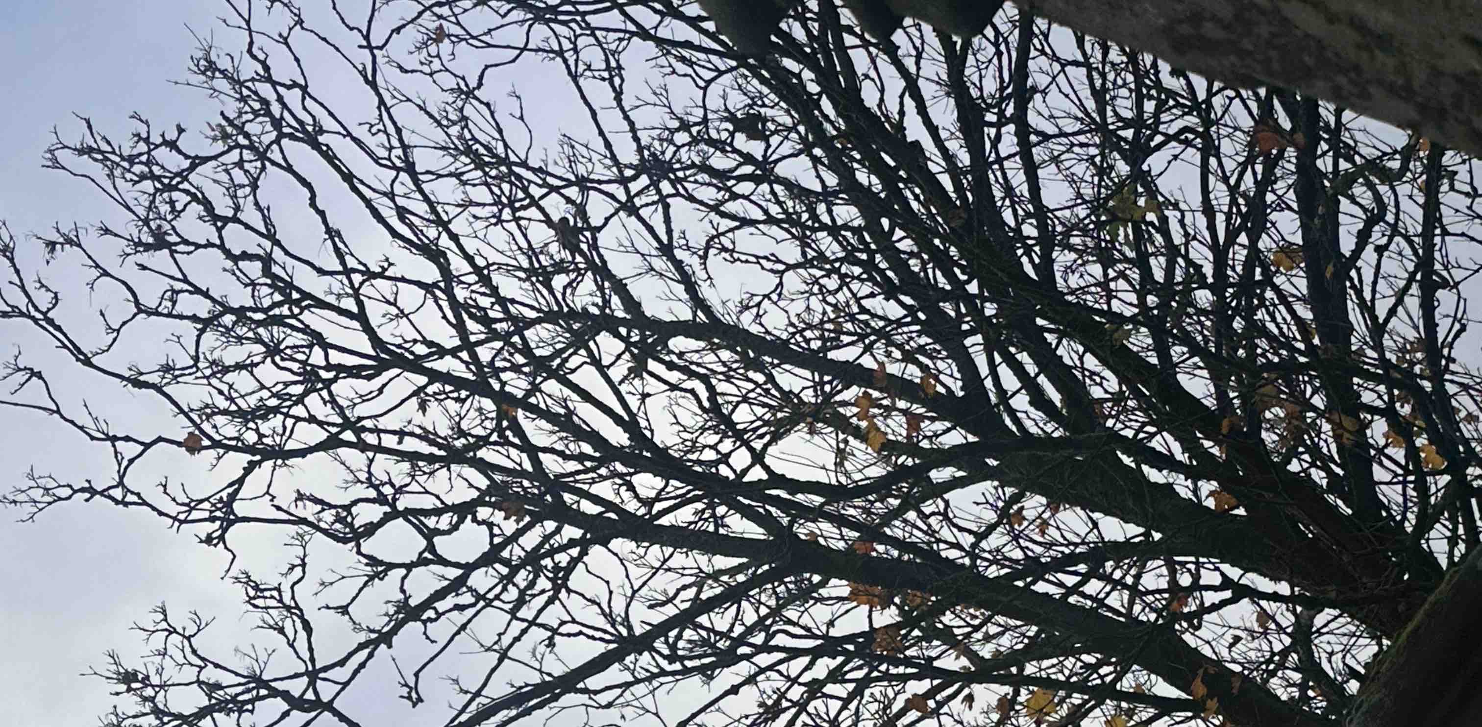 challenge background