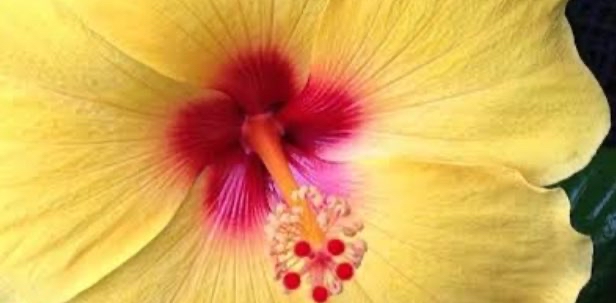 challenge background