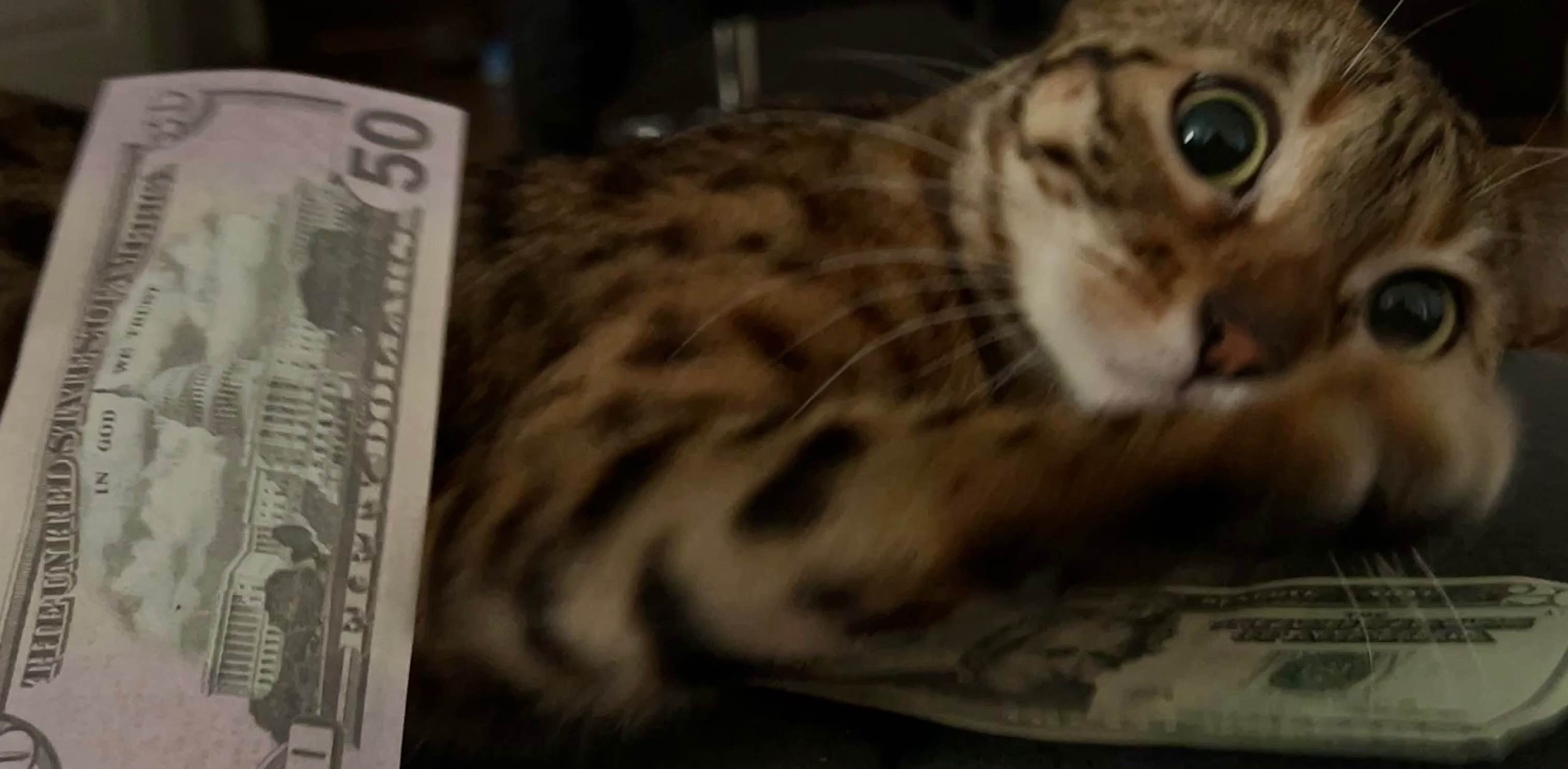 challenge background