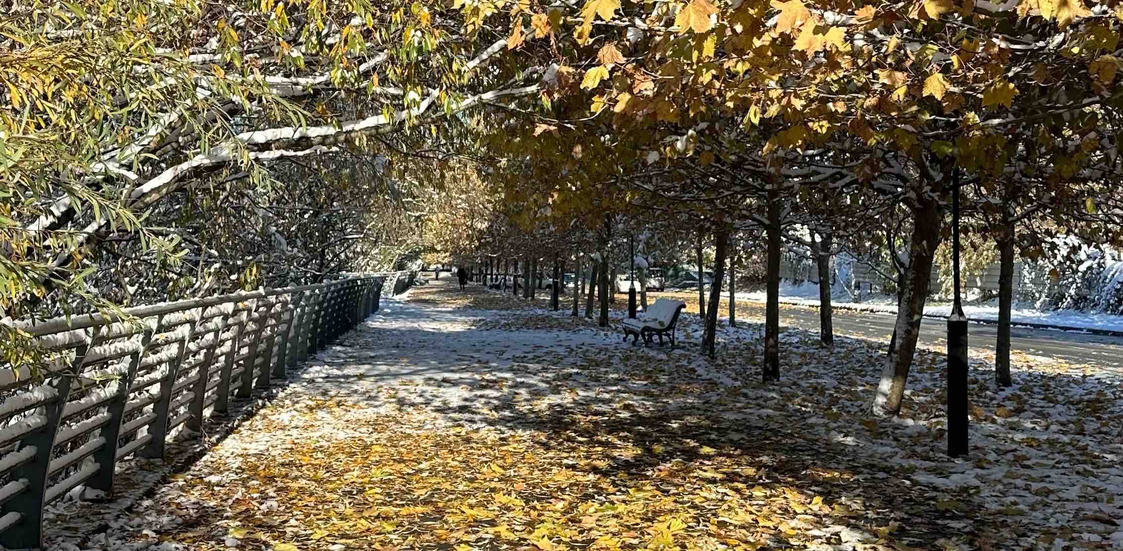 challenge background