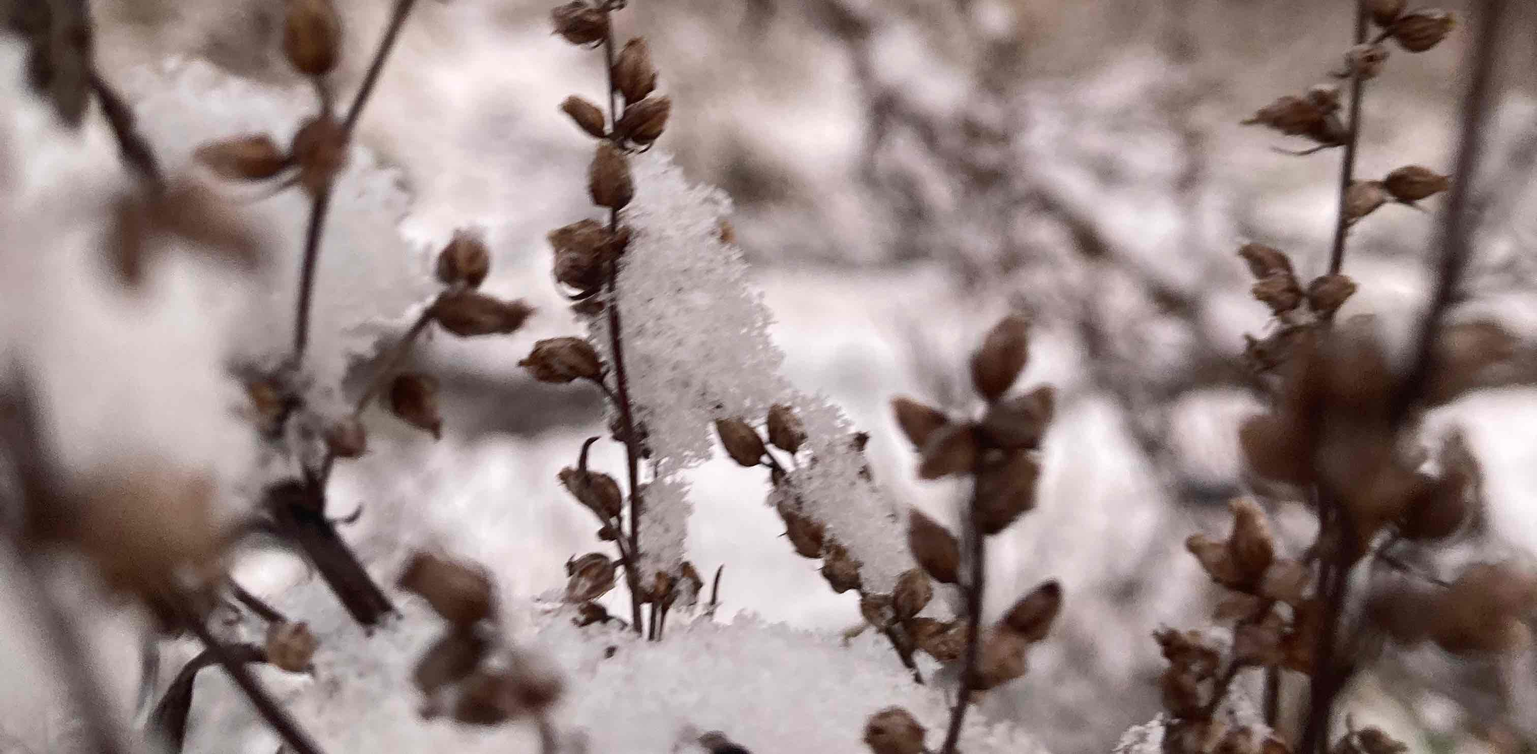 challenge background