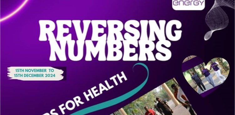 SE 9ja REVERSING NUMBERS Challenge logo
