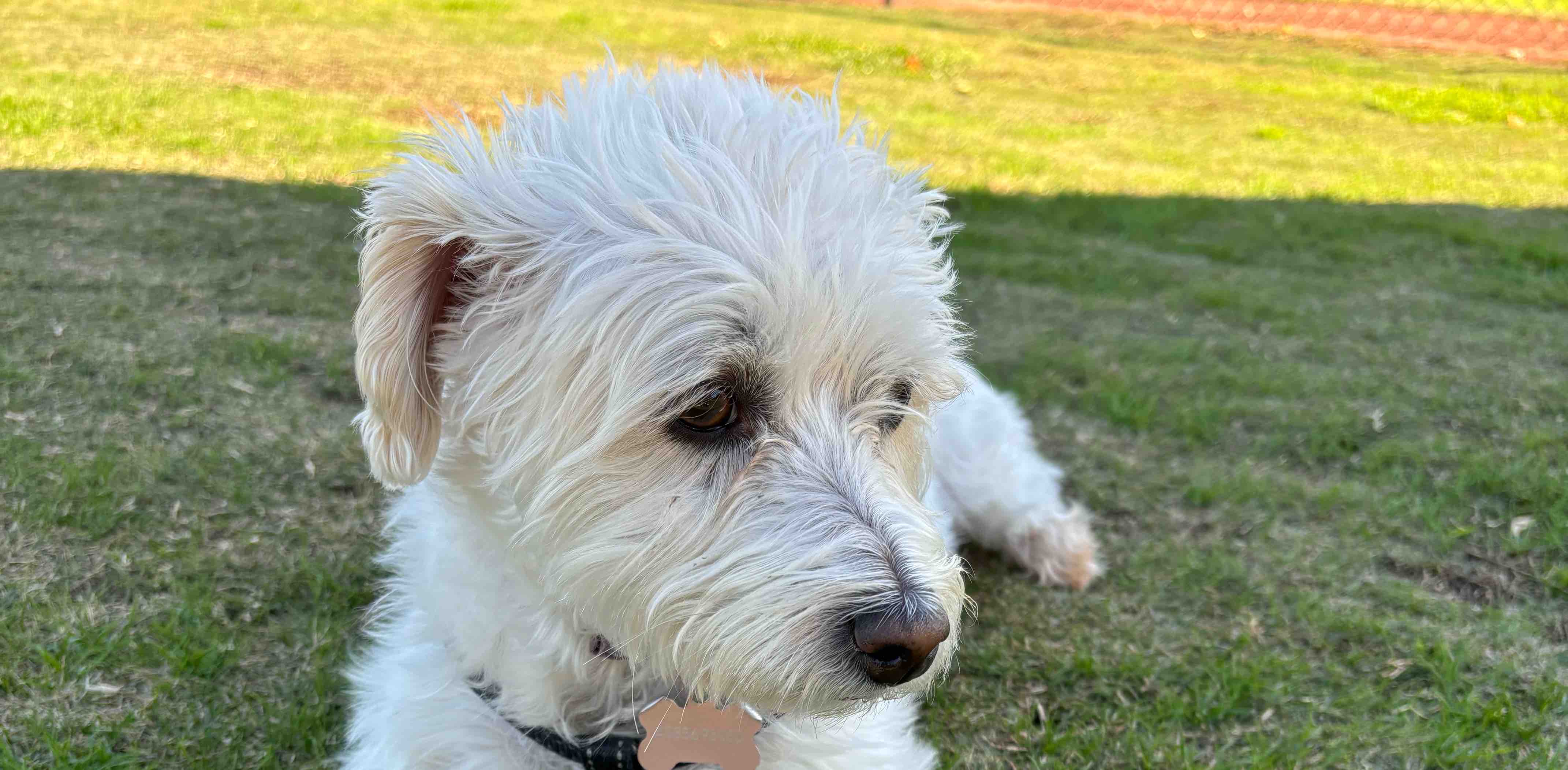 challenge background