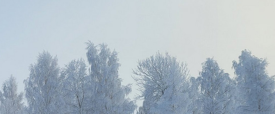 challenge background