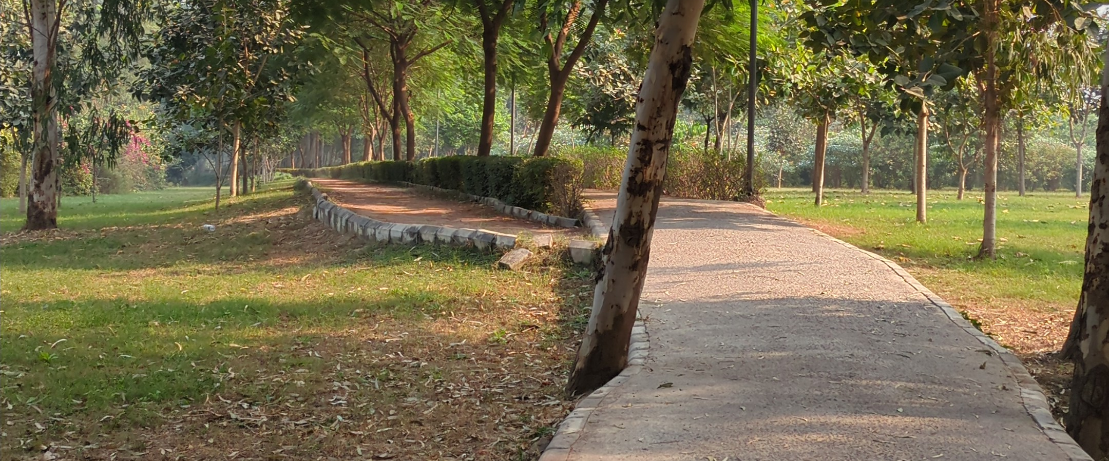 challenge background