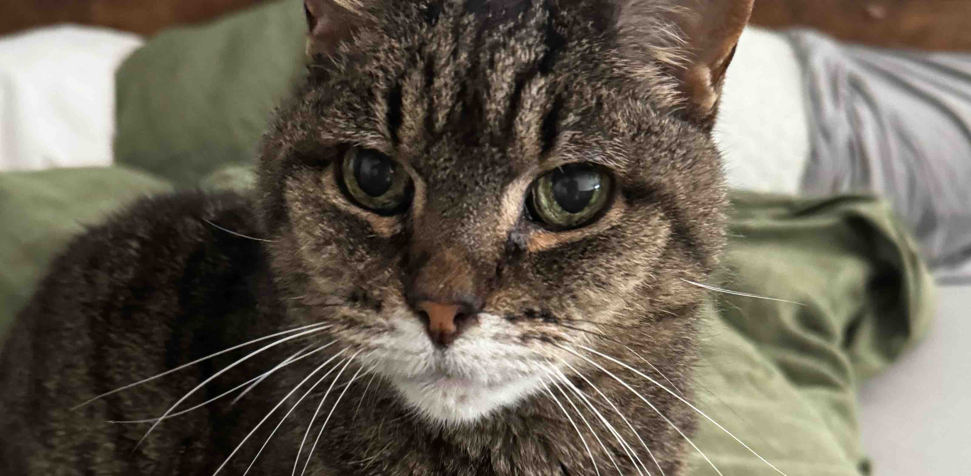 challenge background