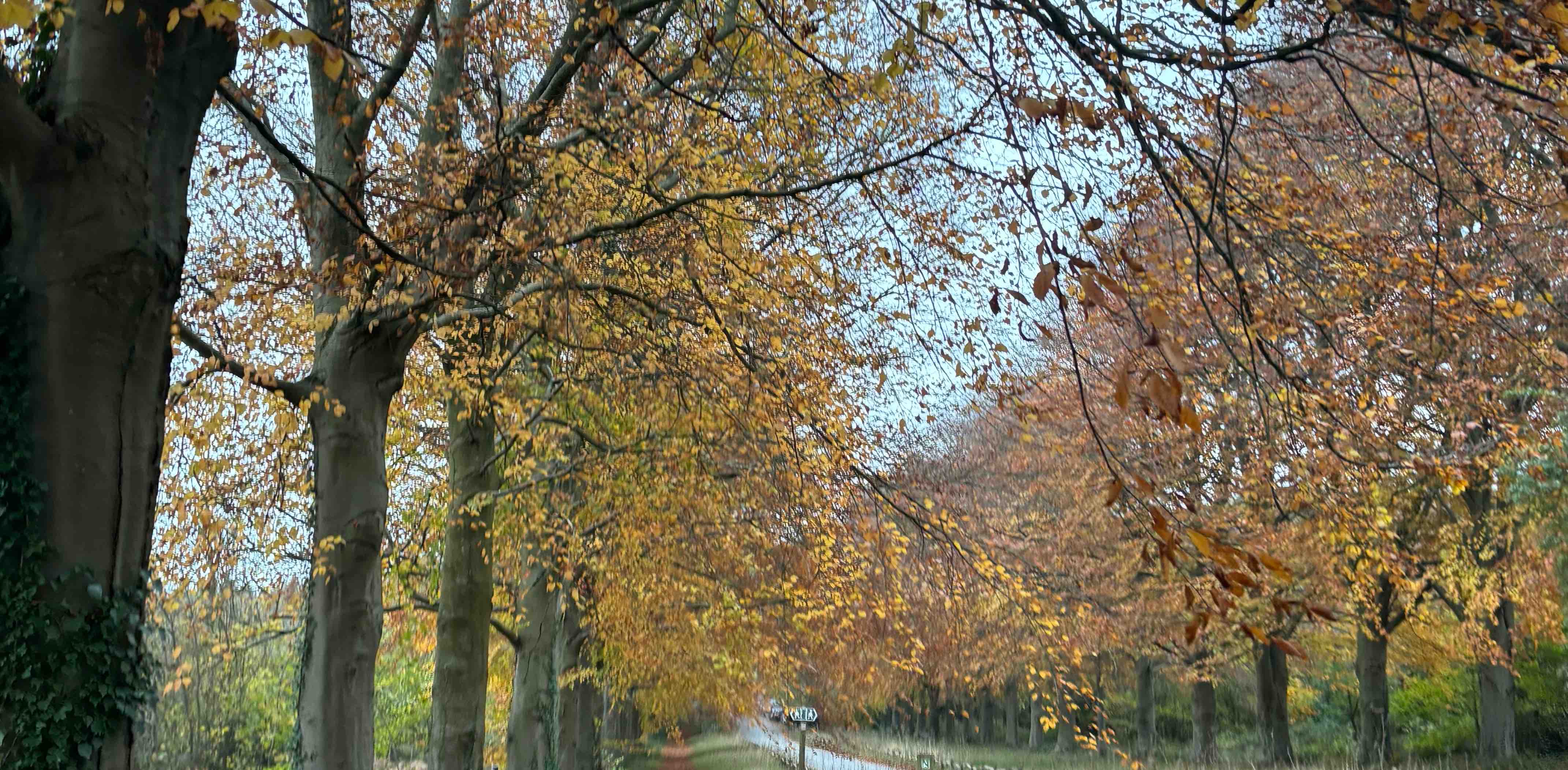 challenge background