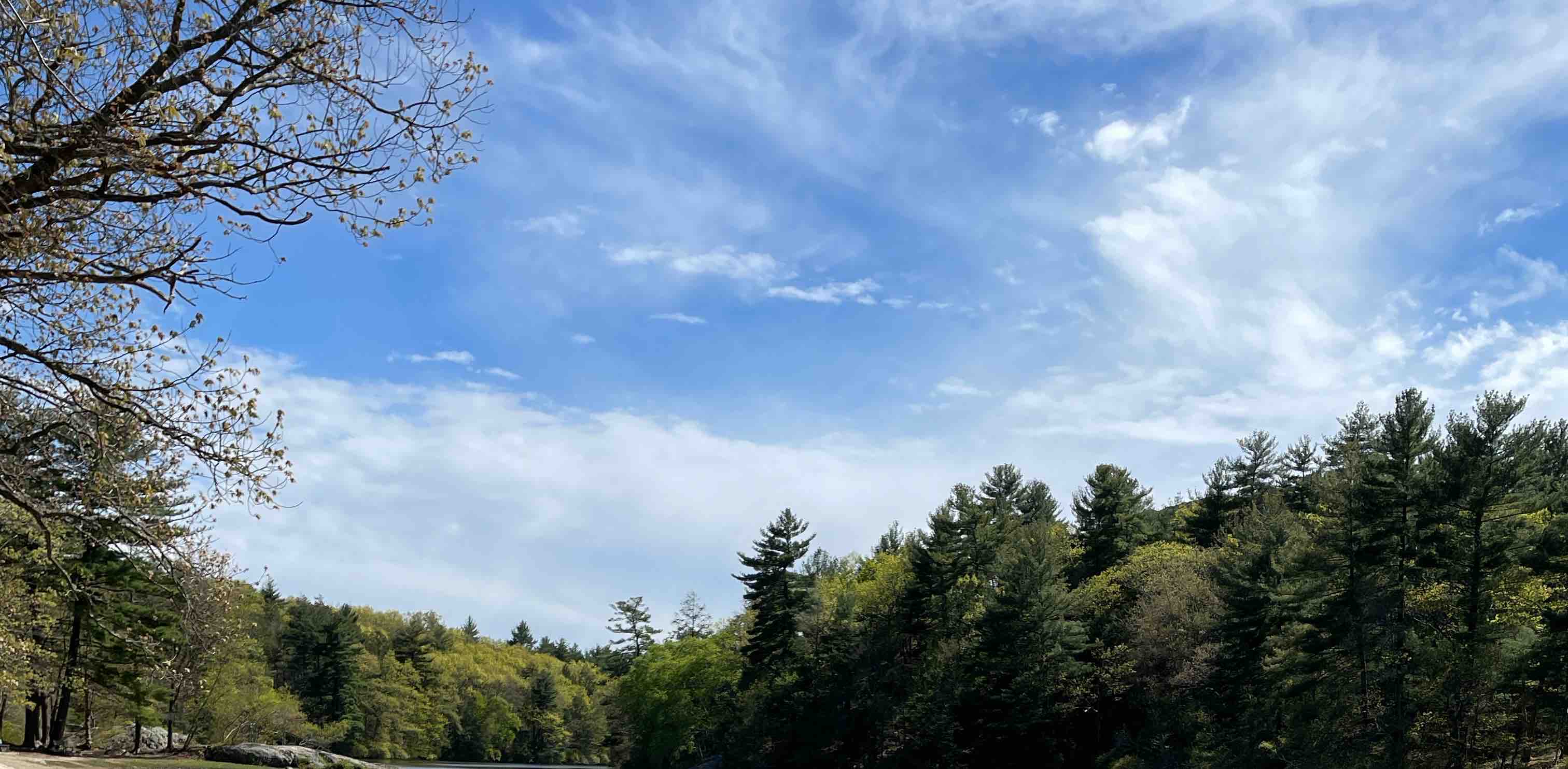 challenge background