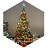 ❄️Декабрь 🎄Праздничный🍊 icon