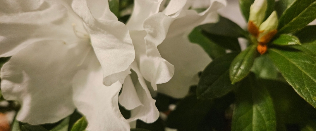 challenge background