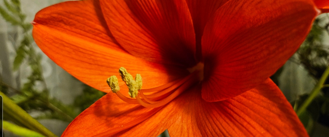 challenge background