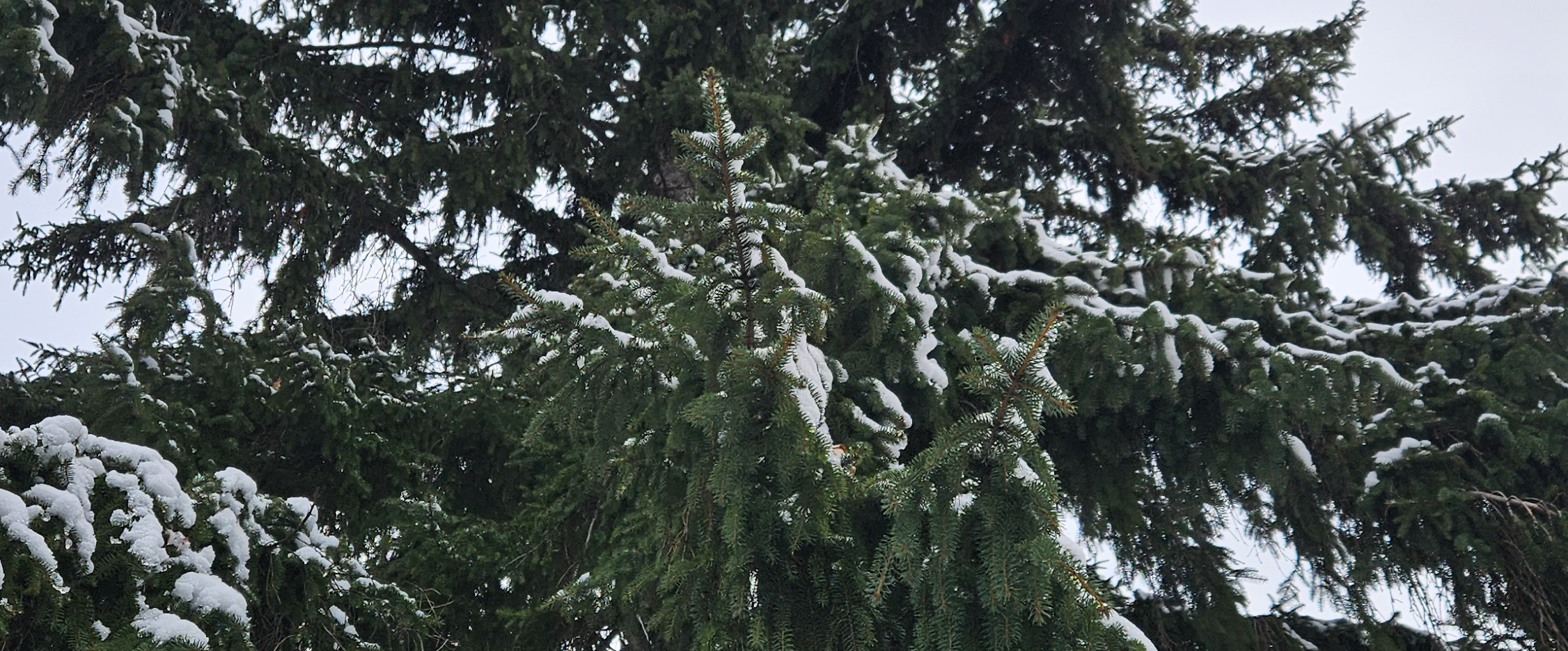 challenge background