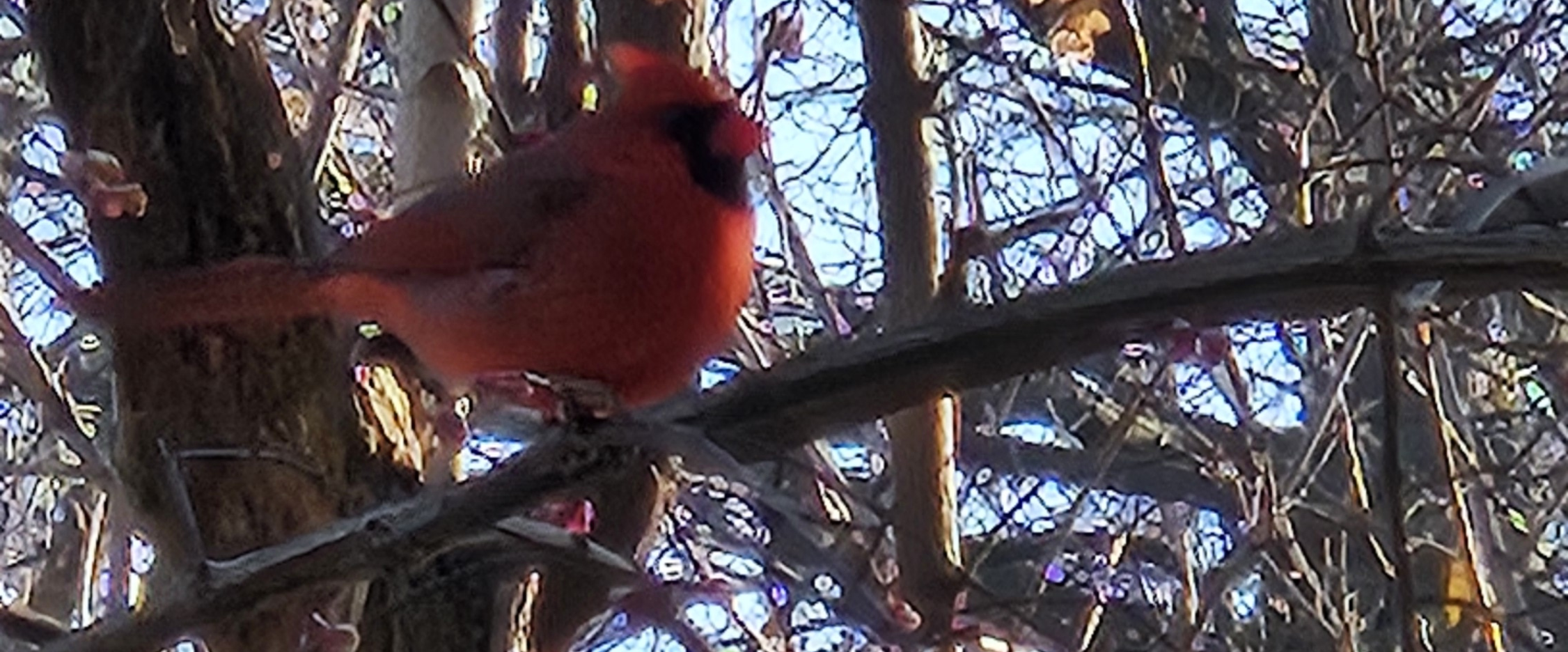 challenge background