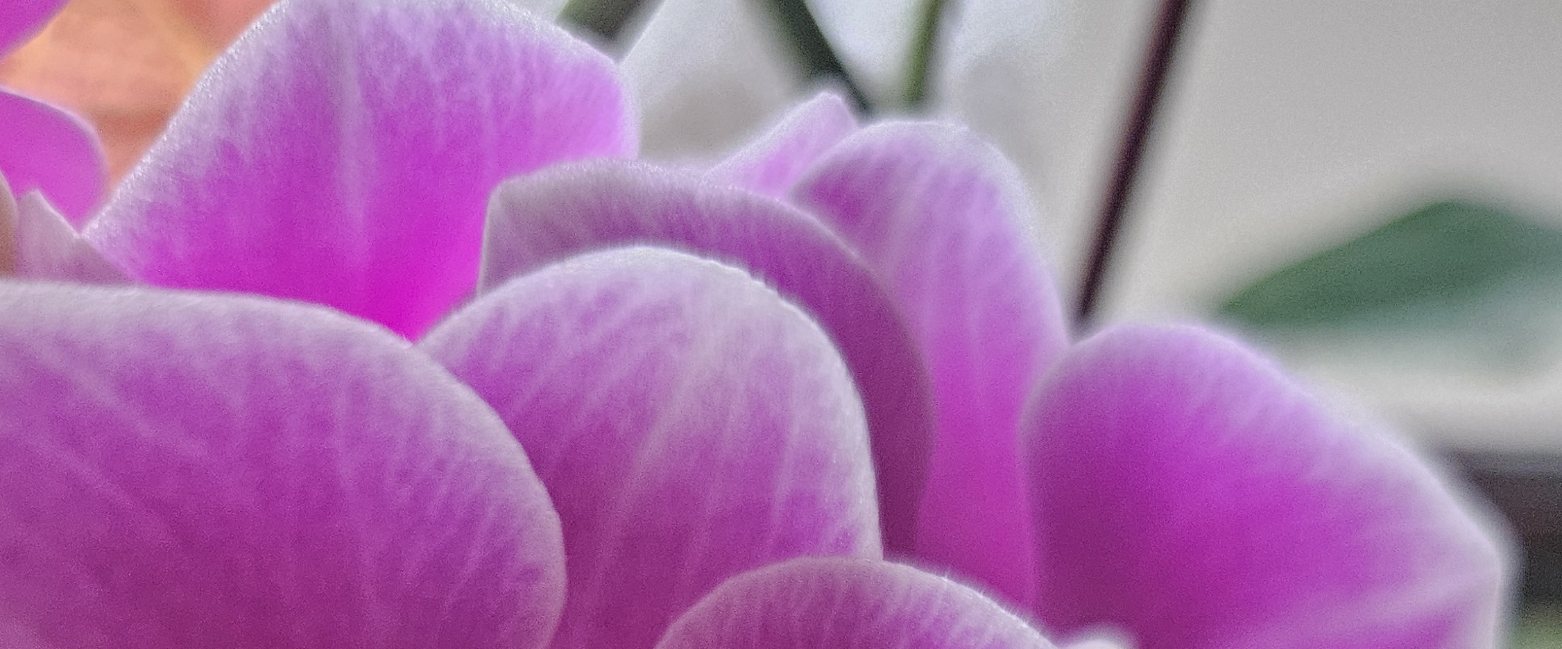 challenge background