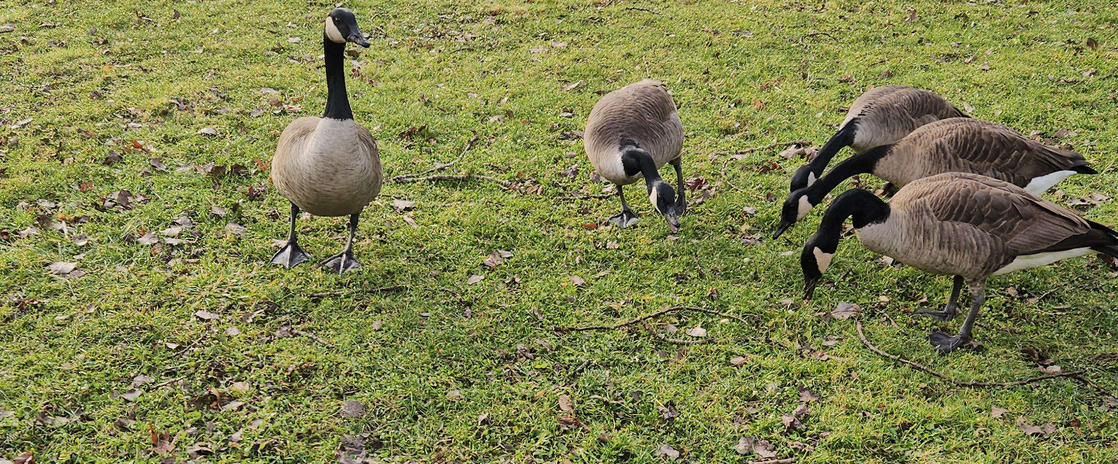 challenge background