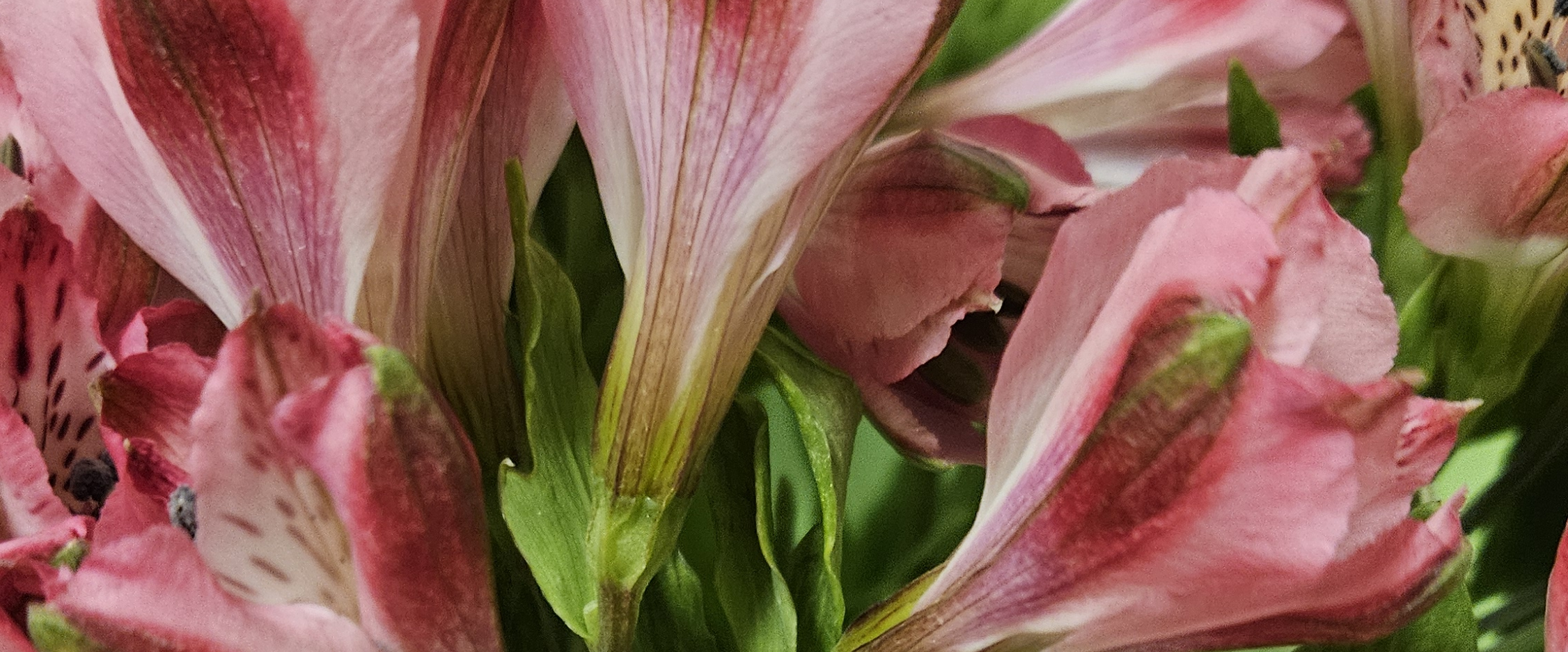 challenge background