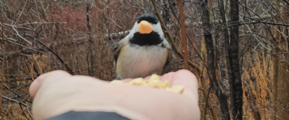 challenge background