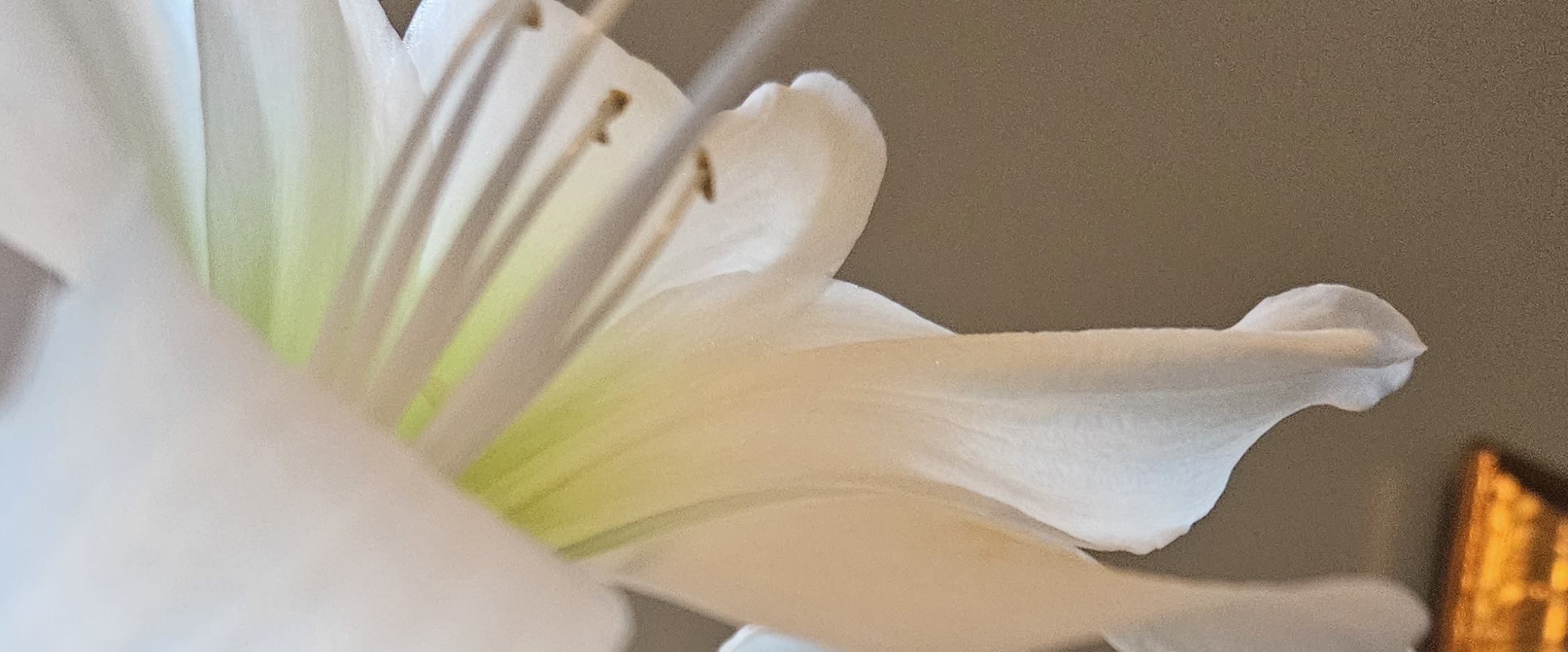 challenge background