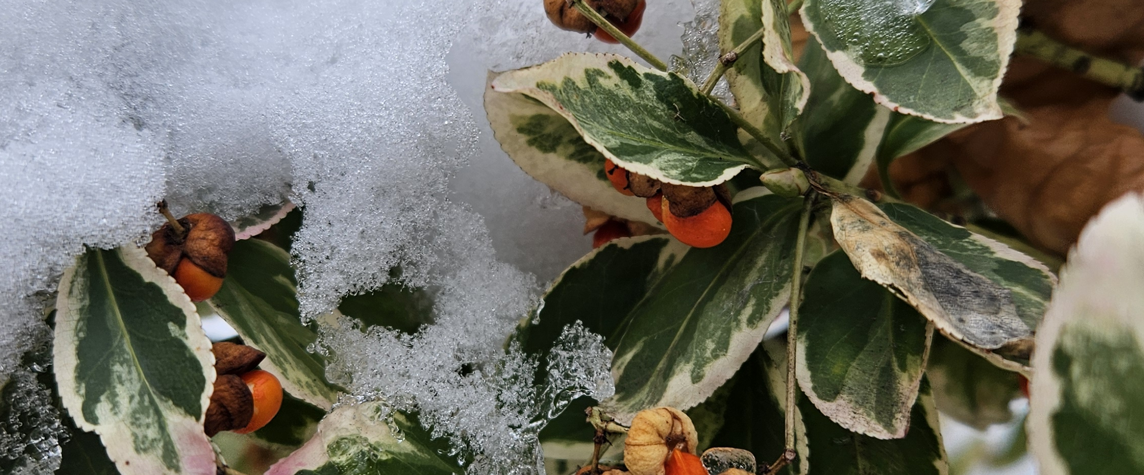 challenge background