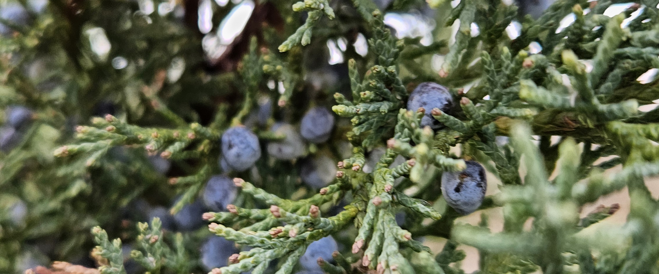 challenge background