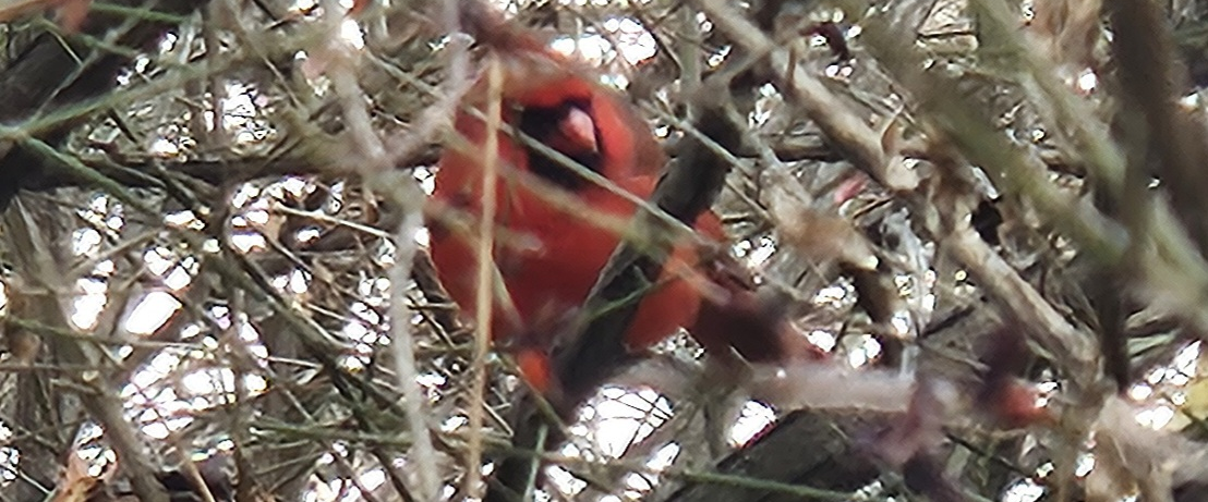 challenge background