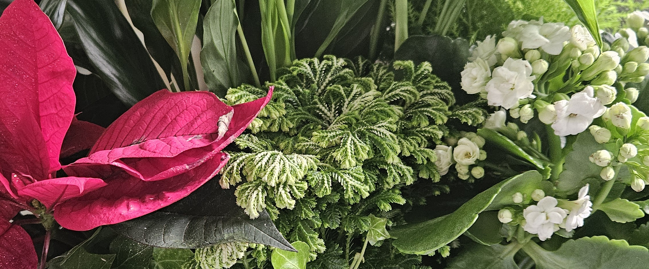 challenge background