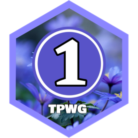 January 2025 20000 Steps - ELITE CLUB icon